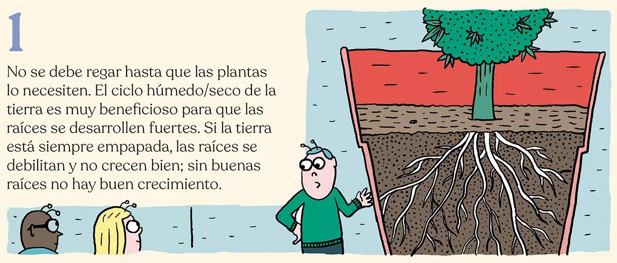 Nueve trucos para acelerar (o frenar) el crecimiento de las plantas en interior