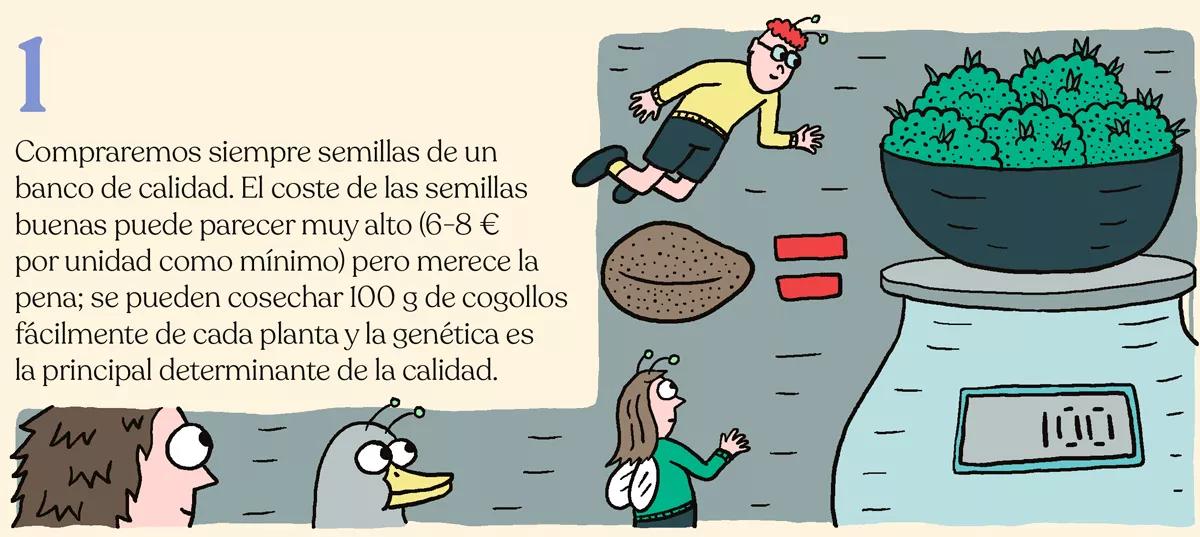 Nueve trucos para empezar en el cultivo de exterior