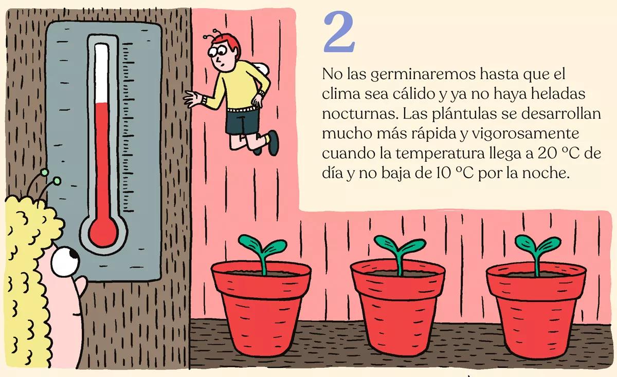 Nueve trucos para empezar en el cultivo de exterior