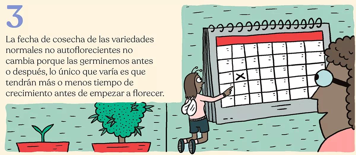 Nueve trucos para empezar en el cultivo de exterior