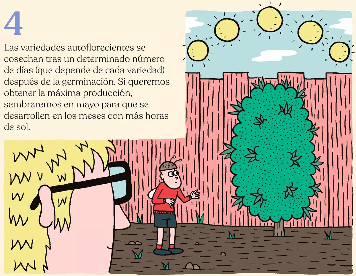 Nueve trucos para empezar en el cultivo de exterior