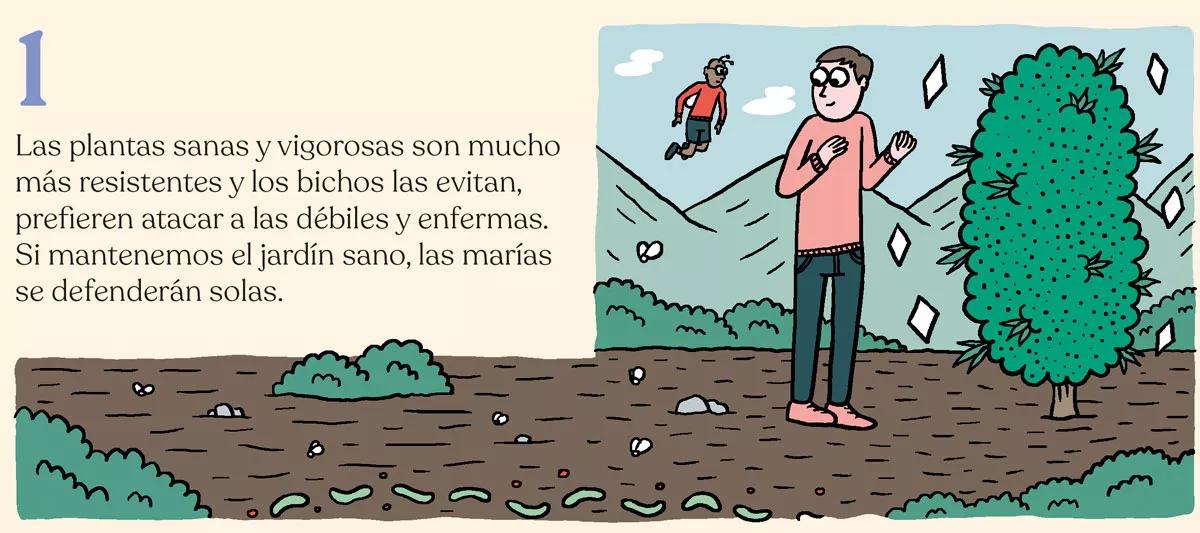 Estrategia contra bichos en diez pasos