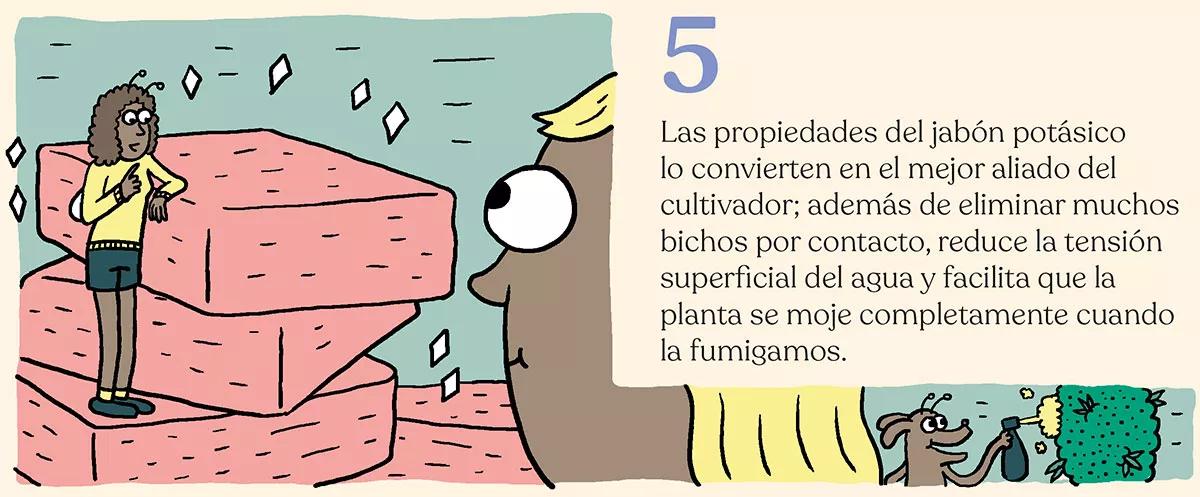 Estrategia contra bichos en diez pasos