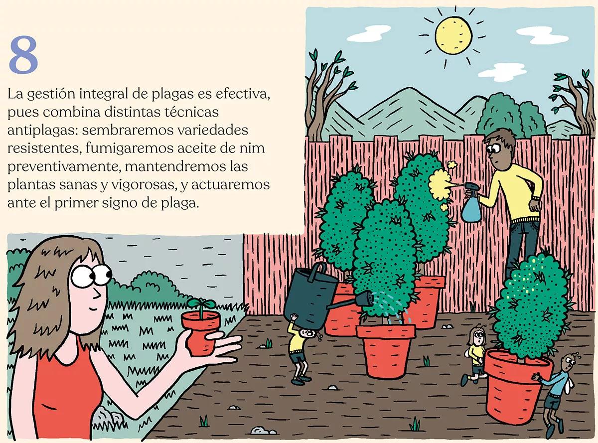 Estrategia contra bichos en diez pasos