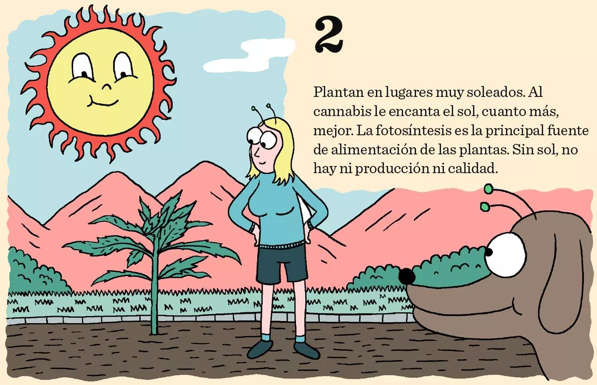 2. Plantan en lugares muy soleados. Al cannabis le encanta el sol, cuanto más, mejor. La fotosíntesis es la principal fuente de alimentación de las plantas. Sin sol, no hay ni producción ni calidad. 