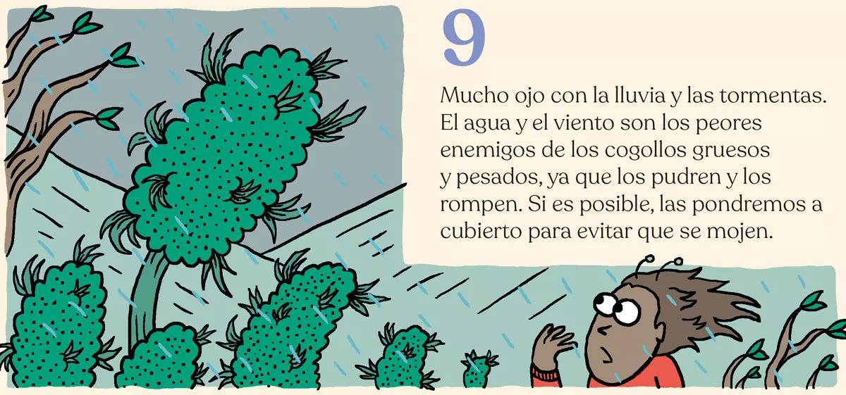Los diez errores típicos del último mes y cómo evitarlos