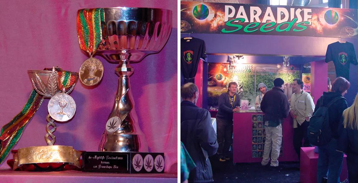 Historia de Paradise Seeds: 30 Años de Genética Superior de Cannabis