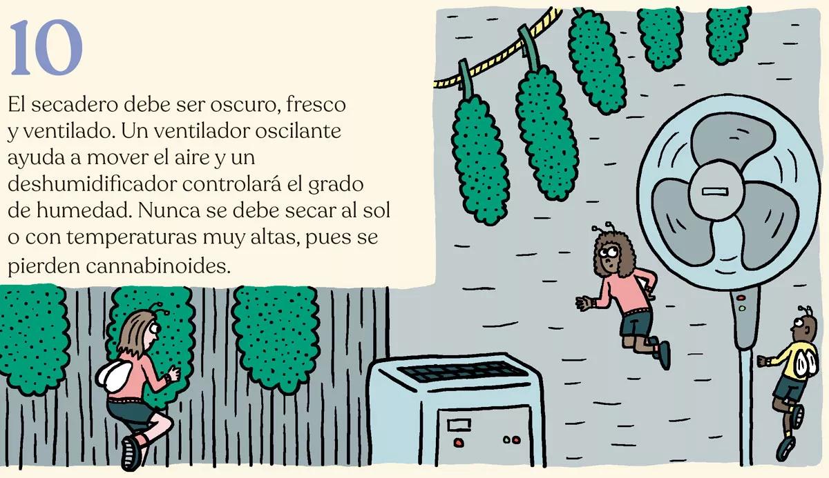 La cosecha perfecta en diez pasos: consejos y trucos de experto 