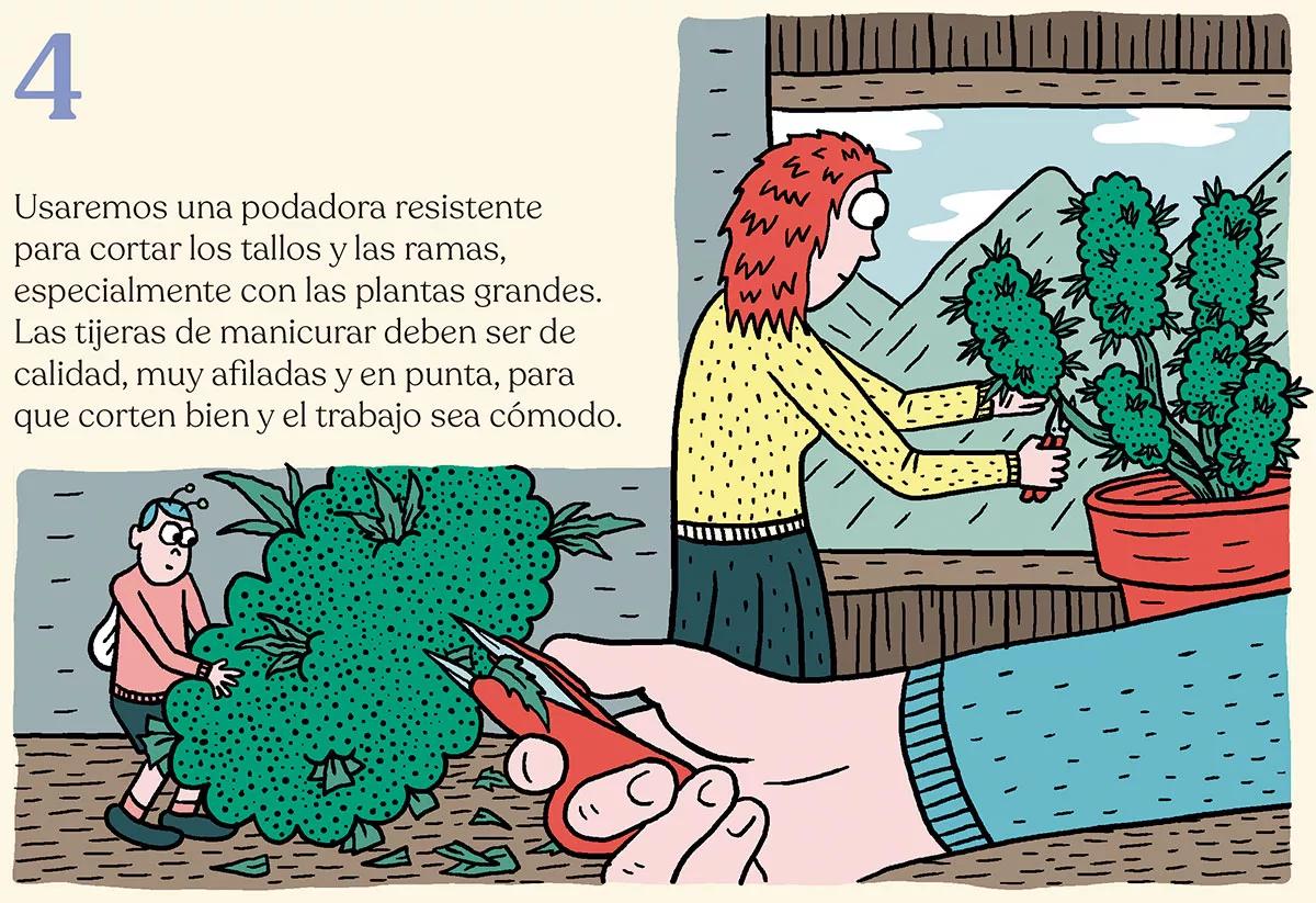 La cosecha perfecta en diez pasos: consejos y trucos de experto