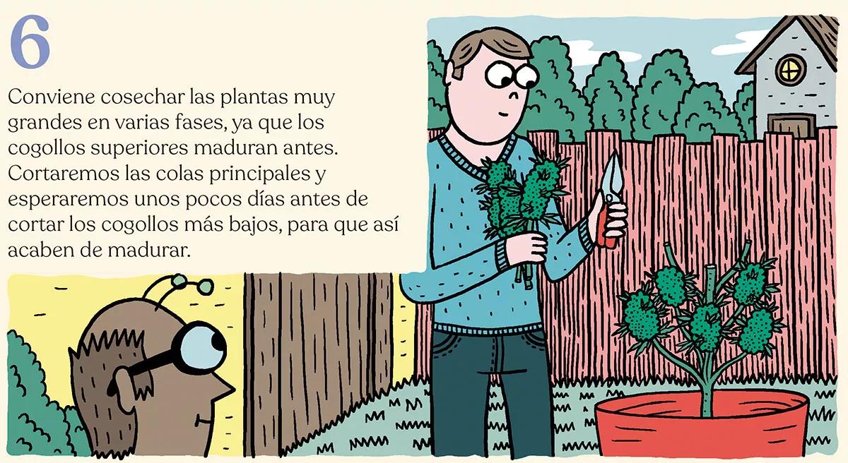 La cosecha perfecta en diez pasos: consejos y trucos de experto