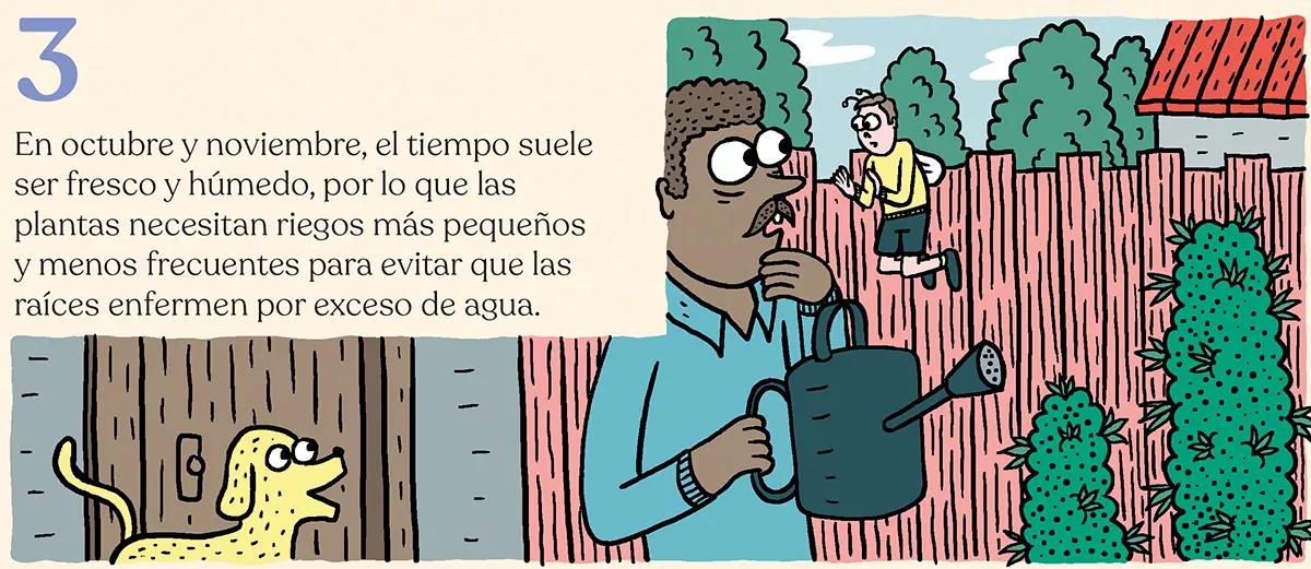 La cosecha de las sativas en exterior: trucos y claves 