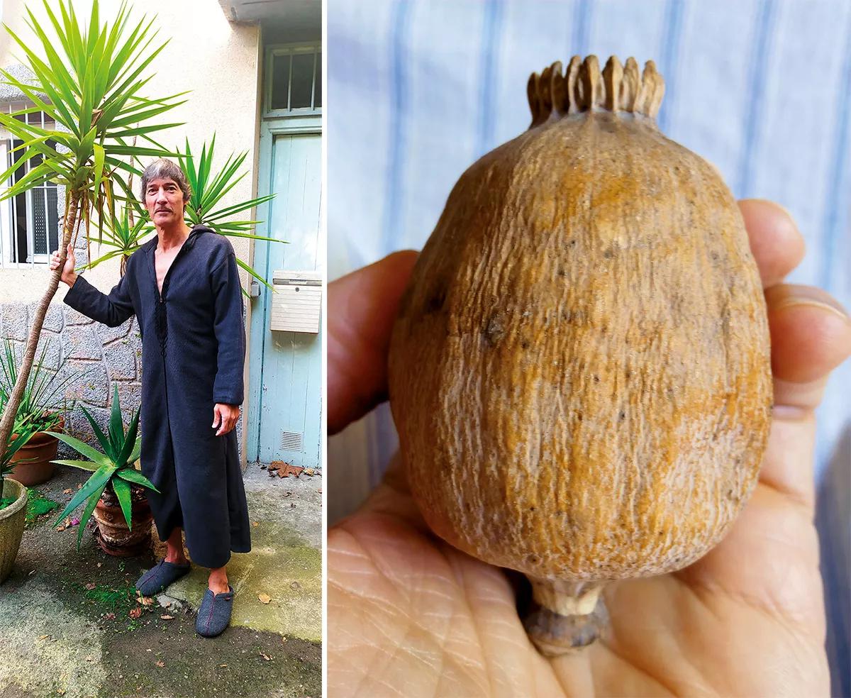 La alternativa vegetal de Luis Otero