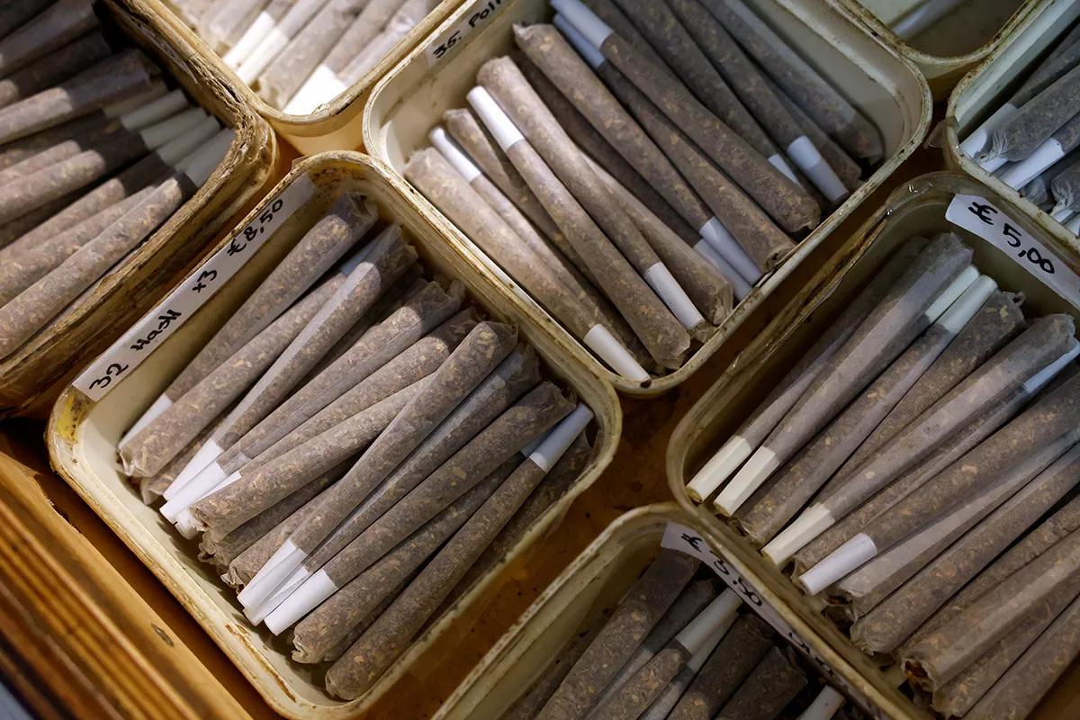 Encuentran bacterias y pesticidas en el cannabis que se vende en los coffee shops holandeses