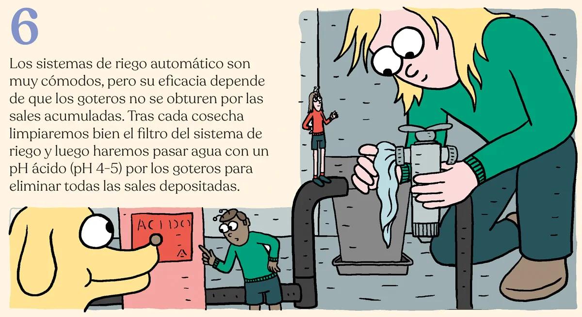 Siembra en febrero y cosecha en mayo: trucos para la maría de primavera 