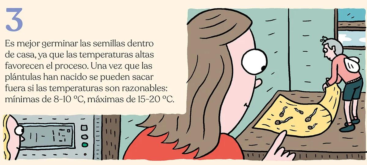 Siembra en febrero y cosecha en mayo: trucos para la maría de primavera 