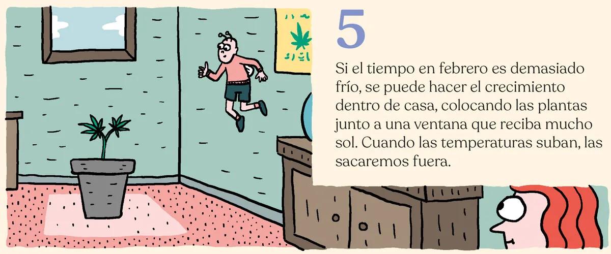 Siembra en febrero y cosecha en mayo: trucos para la maría de primavera 