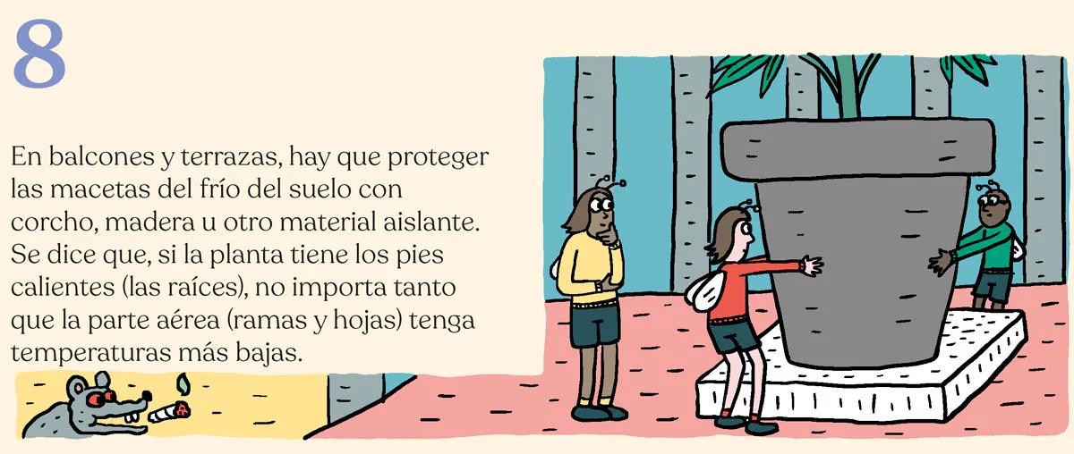 Siembra en febrero y cosecha en mayo: trucos para la maría de primavera 