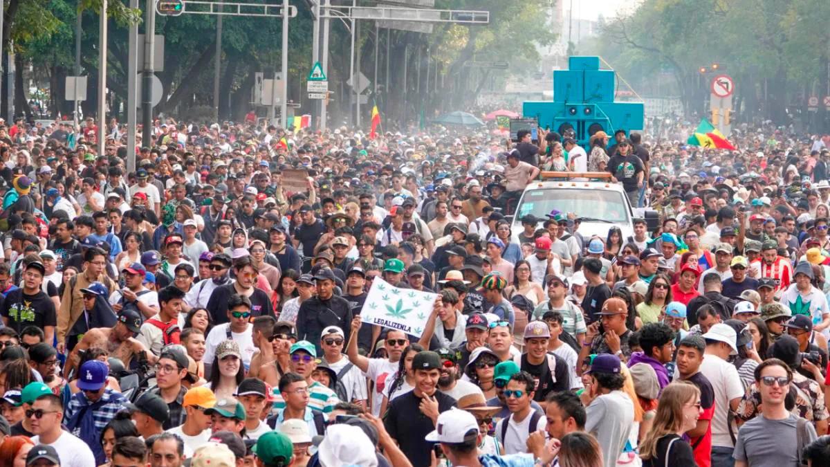 México: 13 estados unidos por el autocultivo