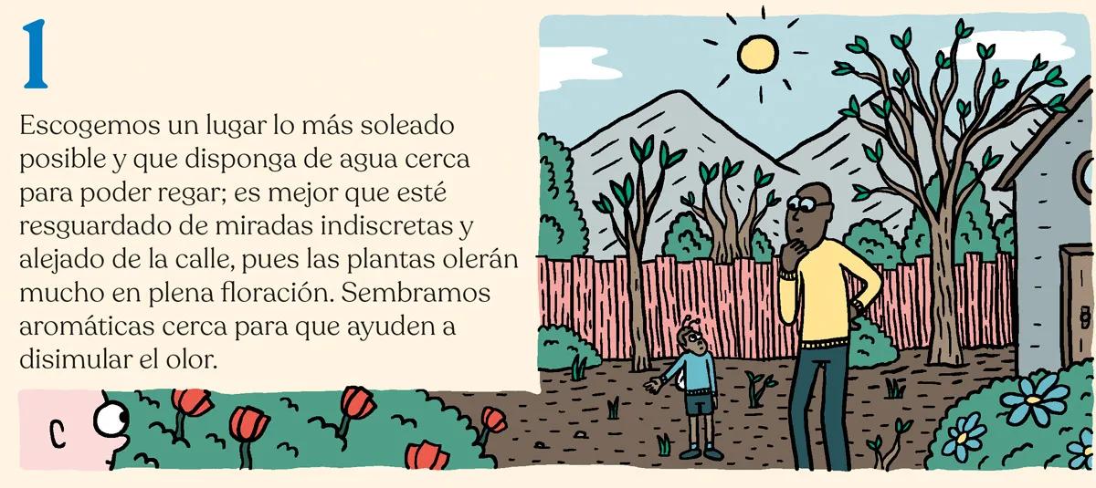 Hora de sembrar: trucos y consejos para plantar en el suelo Abierta opciones de configuración