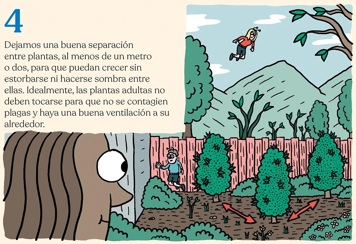 Hora de sembrar: trucos y consejos para plantar en el suelo 