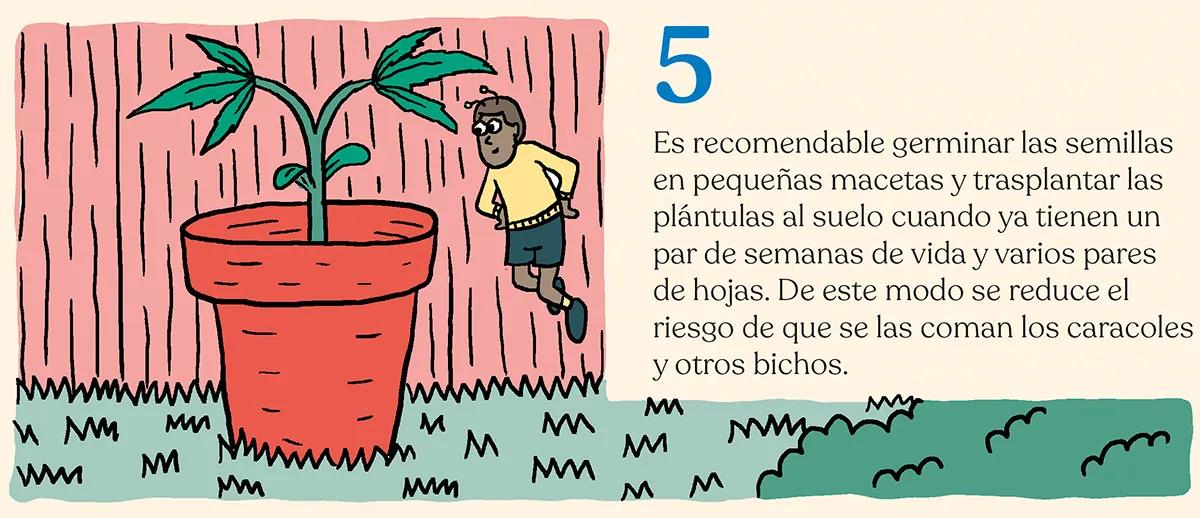 Hora de sembrar: trucos y consejos para plantar en el suelo 