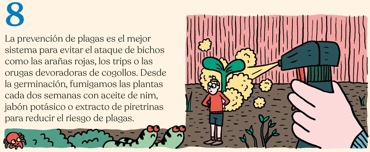 Hora de sembrar: trucos y consejos para plantar en el suelo 