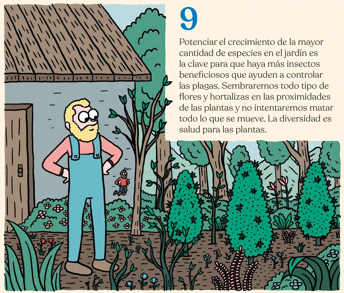 Hora de sembrar: trucos y consejos para plantar en el suelo 