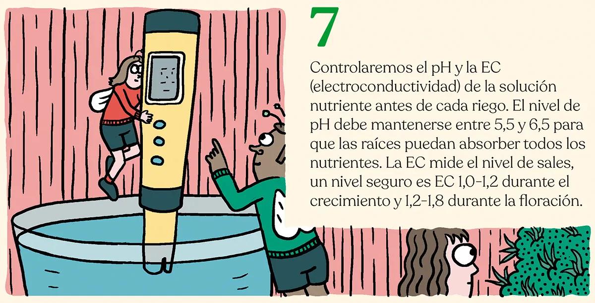 Alimentar las plantas para lograr la mejor cosecha: diez trucos para abonar como un experto