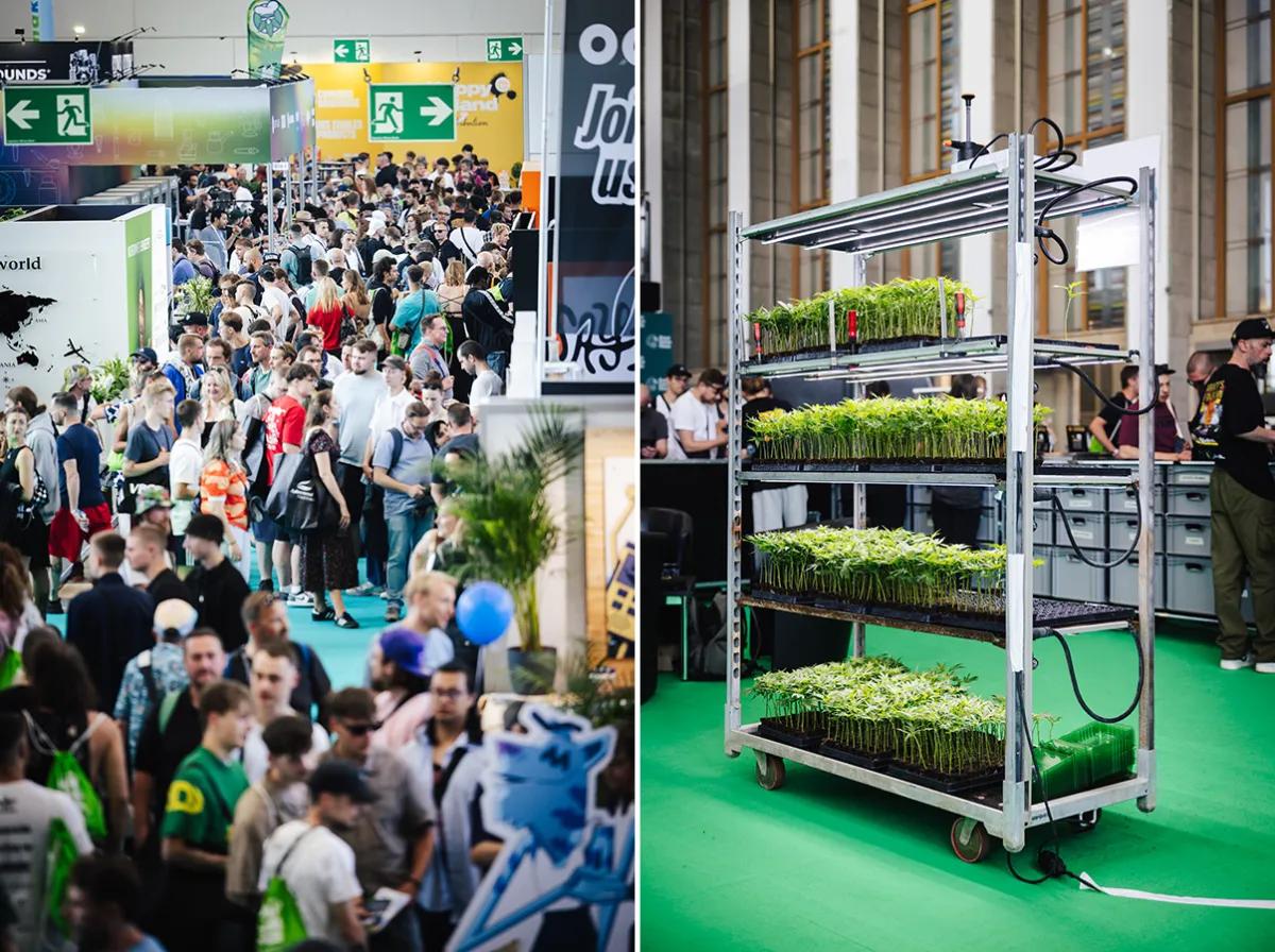 Mary Jane Berlin Fotos de Christoph Wehrer