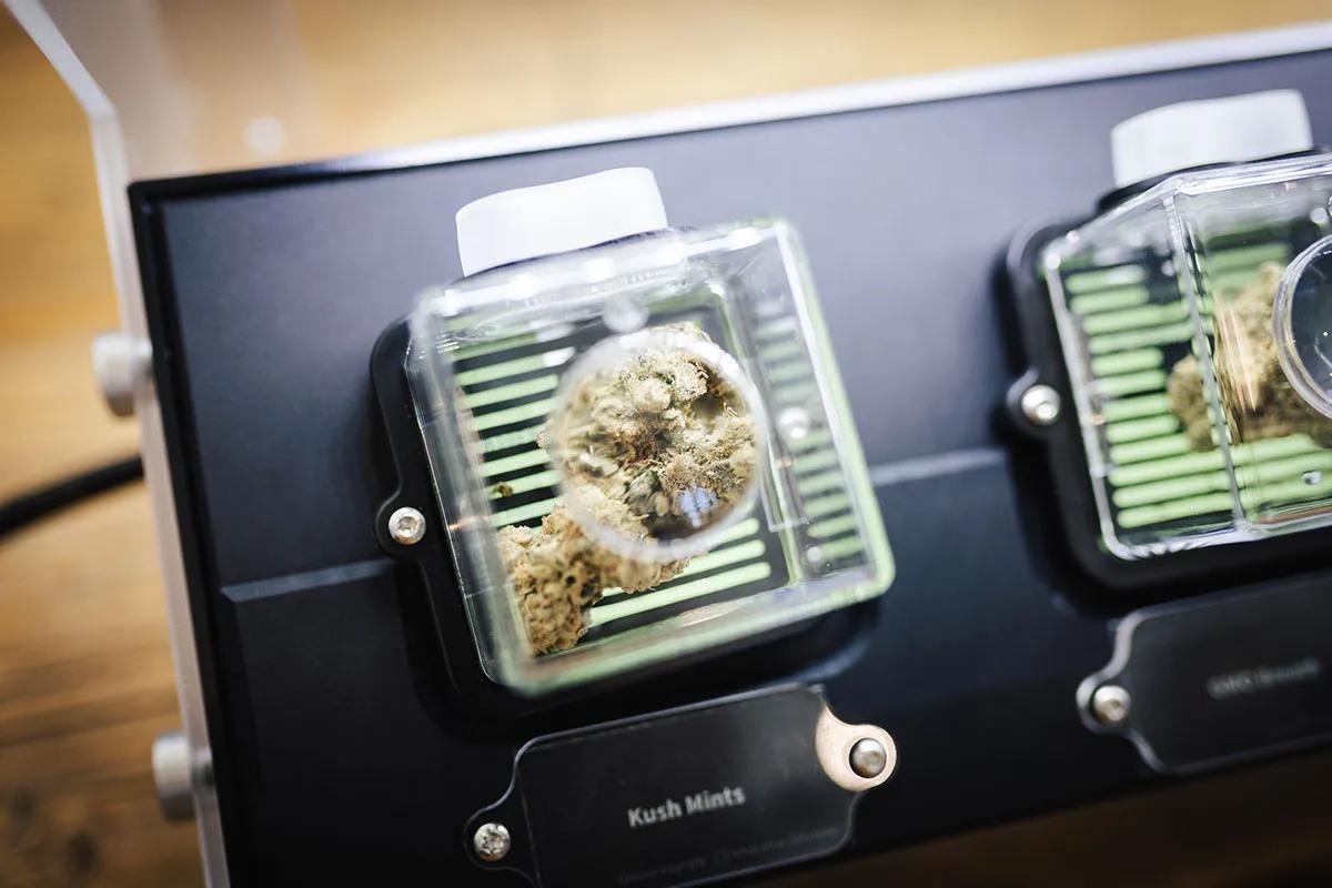 Mary Jane Berlin Fotos de Christoph Wehrer