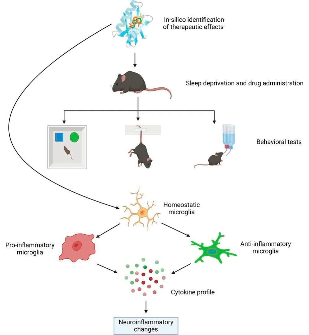 La terapia con cannabinoides a largo plazo puede mejorar los cambios neuroinflamatorios y conductuales inducidos por la privación crónica del sueño en ratones.