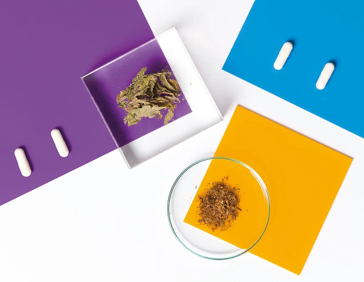 El mundo onírico, aún por explorar