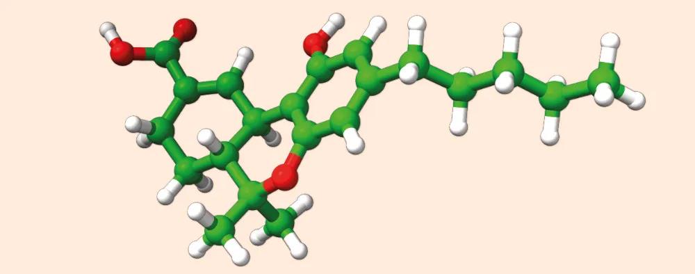 THC Cannabis y salud en la mujer
