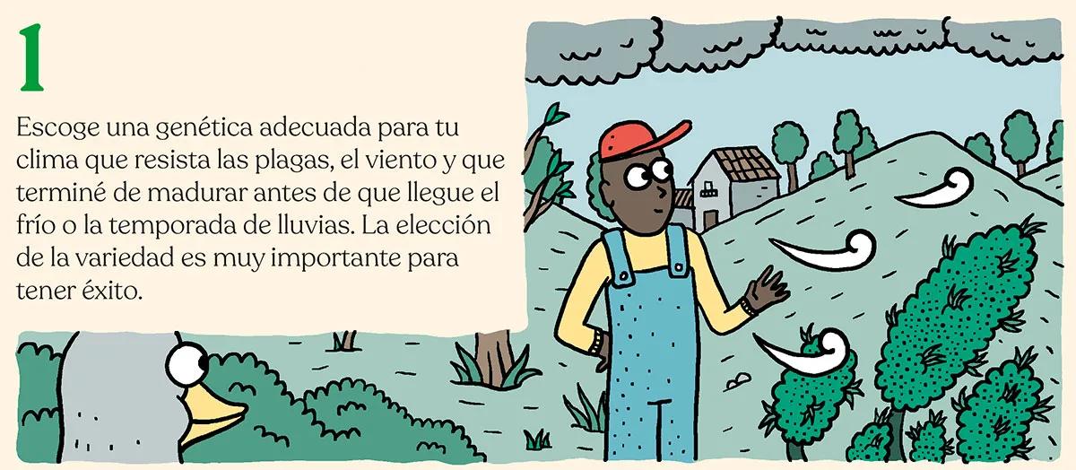 Listas para producir: cómo lograr superplantas 