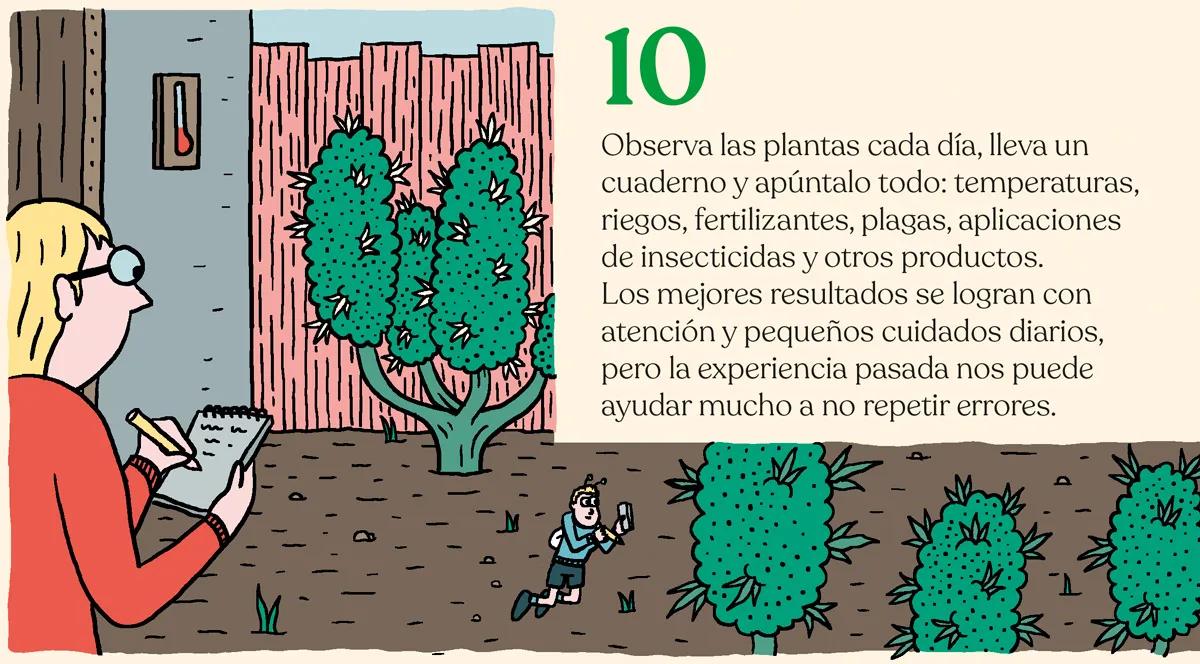 Listas para producir: cómo lograr superplantas 