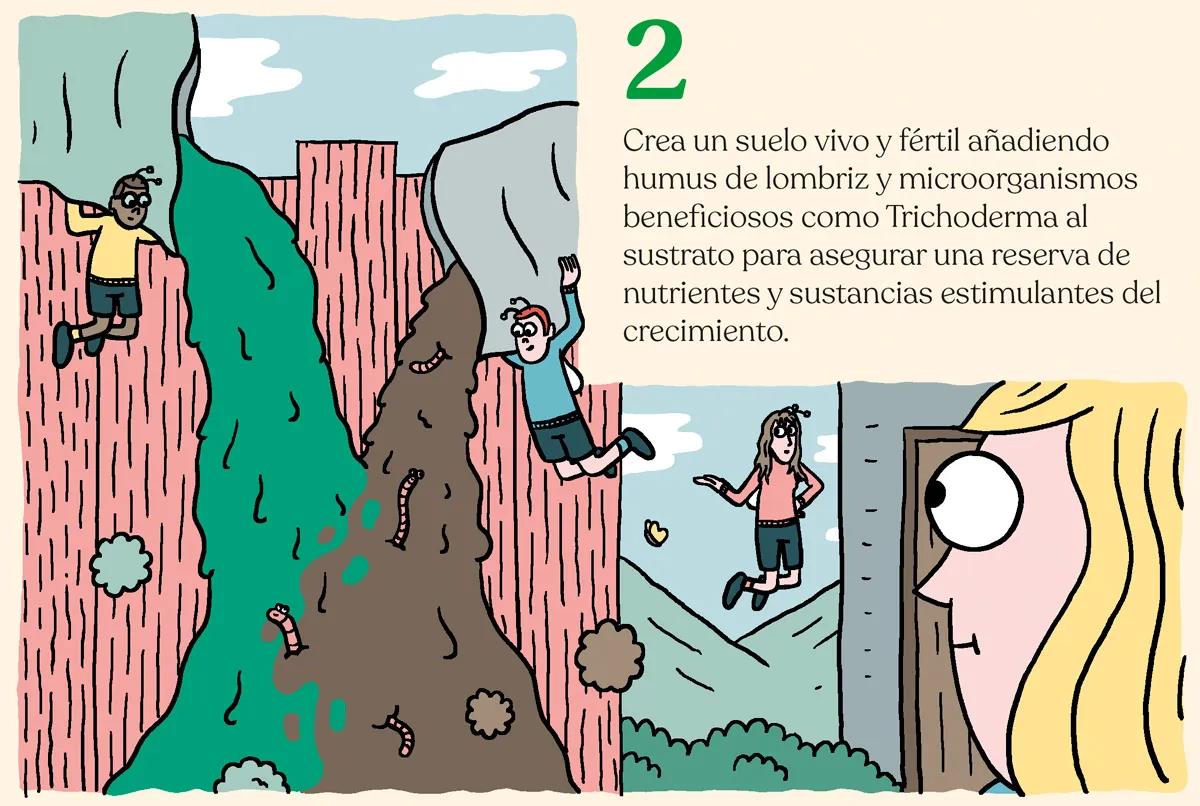 Listas para producir: cómo lograr superplantas 