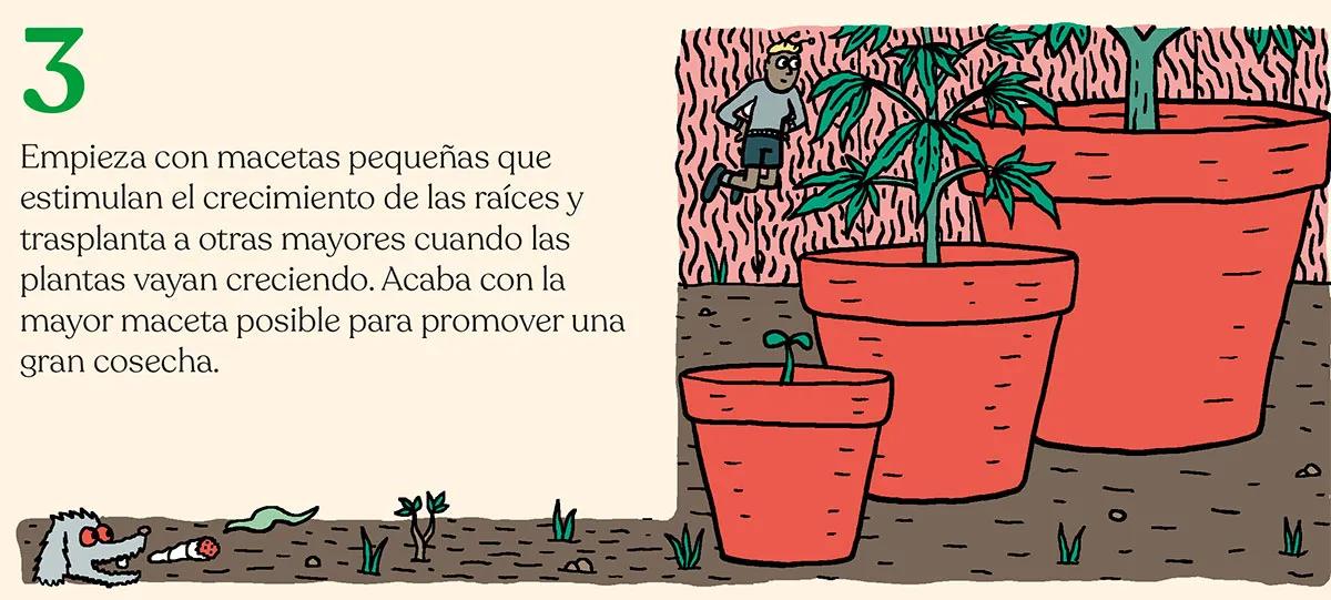 Listas para producir: cómo lograr superplantas 