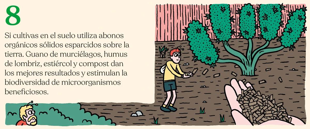 Listas para producir: cómo lograr superplantas 