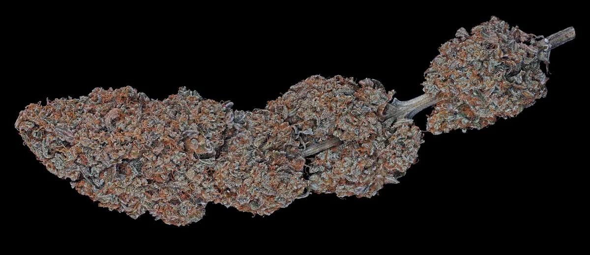 Sour Diesel: brillo atemporal de la vieja escuela