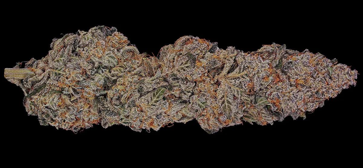 Super Boof protagoniza el espectáculo de la variedad del año