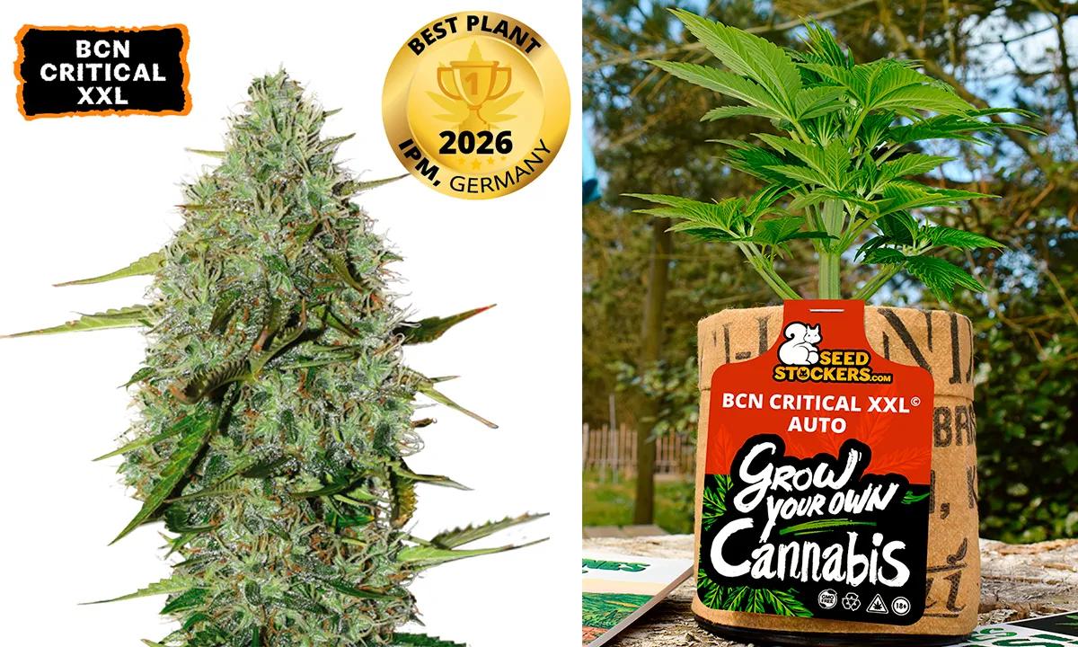 Seedstockers obtiene destacado reconocimiento en la feria hortícola más importante del mundo