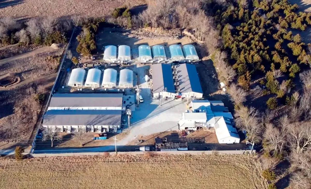 Oklahoma intensifica el control sobre cultivos ilegales de cannabis