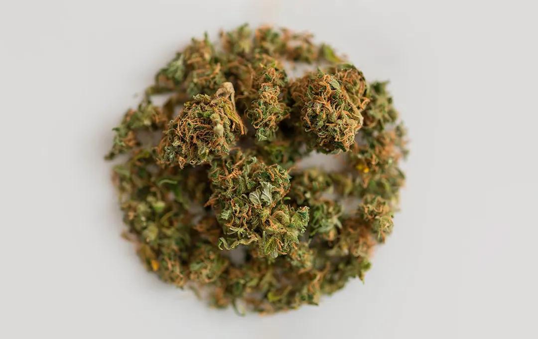 Cuánto THC hay realmente en el cannabis legal