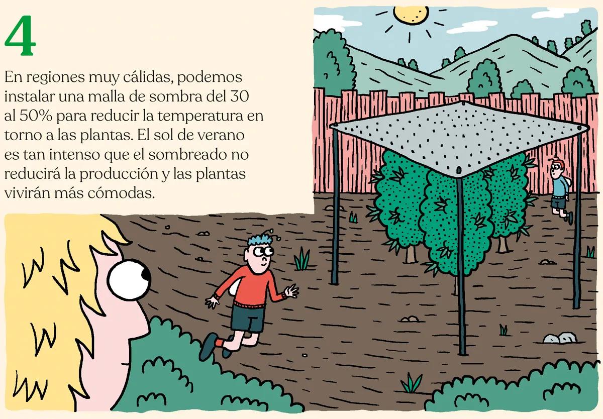 La marihuana en los meses de calor 